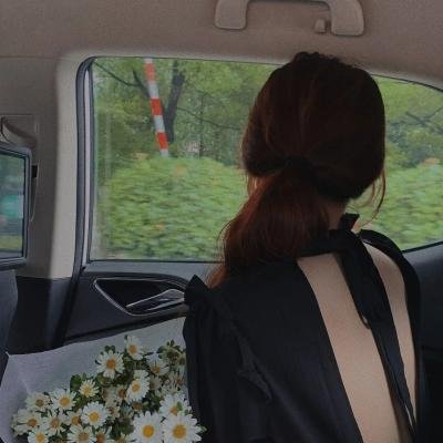 泡芙小姐第四季